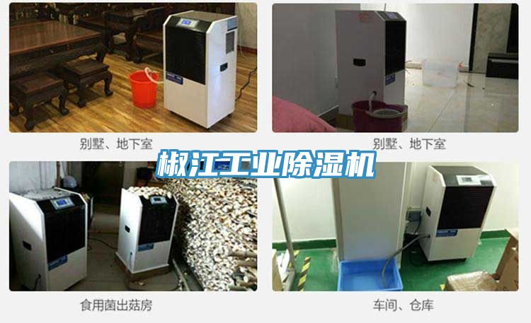 椒江工业91免费网站在线观看