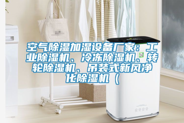 空气除湿加湿设备厂家：工业91免费网站在线观看、冷冻91免费网站在线观看、转轮91免费网站在线观看、吊装式新风净化91免费网站在线观看（