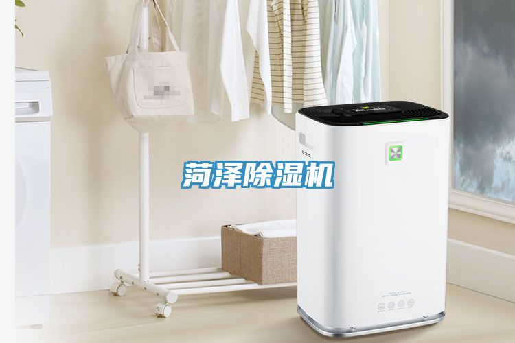 菏泽91免费网站在线观看