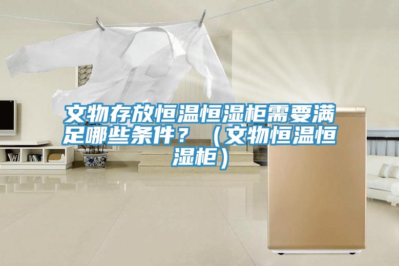 文物存放恒温恒湿柜需要满足哪些条件？（文物恒温恒湿柜）