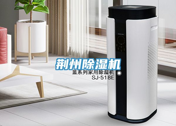 荆州91免费网站在线观看