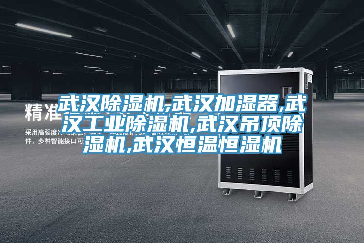 武汉91免费网站在线观看,武汉加湿器,武汉工业91免费网站在线观看,武汉吊顶91免费网站在线观看,武汉恒温恒湿机
