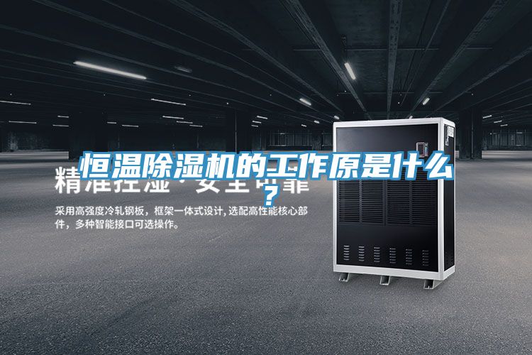 恒温91免费网站在线观看的工作原是什么？
