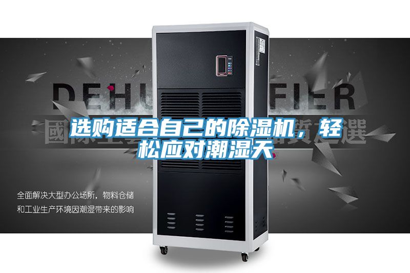 选购适合自己的91免费网站在线观看，轻松应对潮湿天
