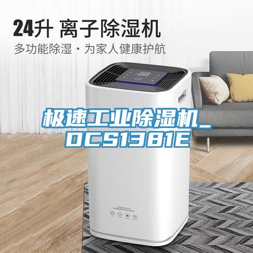 极速工业91免费网站在线观看_DCS1381E