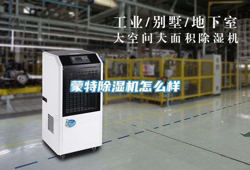 蒙特91免费网站在线观看怎么样