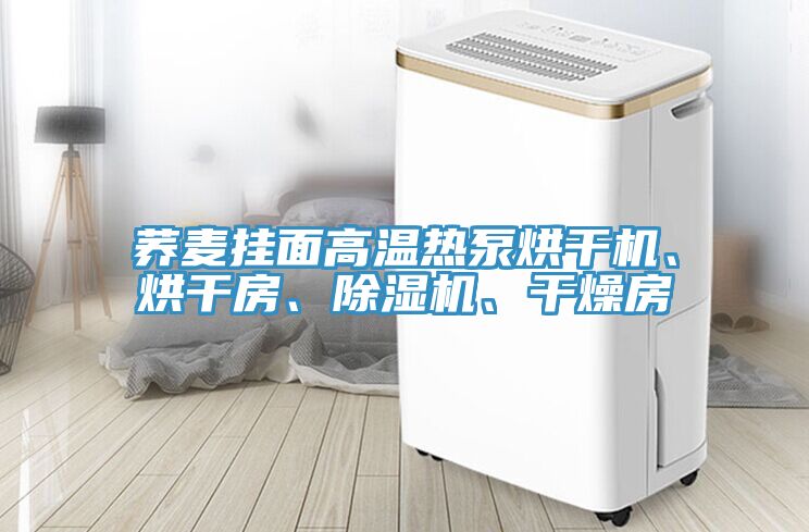 荞麦挂面高温热泵烘干机、烘干房、91免费网站在线观看、干燥房