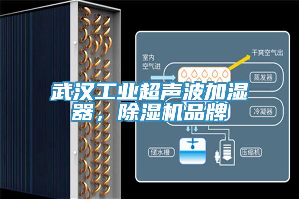 武汉工业超声波加湿器，91免费网站在线观看品牌