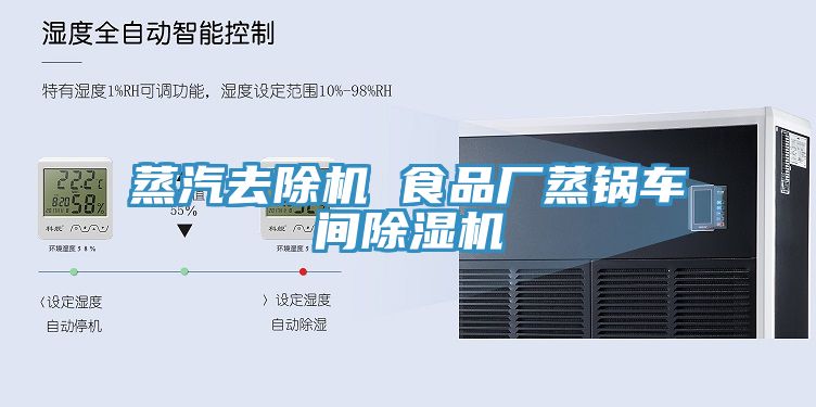 蒸汽去除机 食品厂蒸锅车间91免费网站在线观看