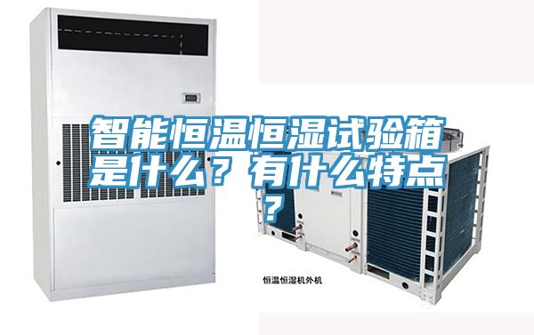 智能恒温恒湿试验箱是什么？有什么特点？