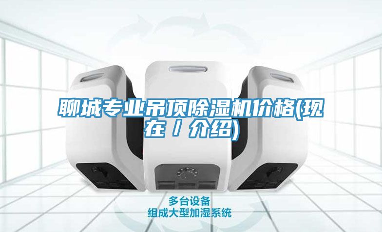聊城专业吊顶91免费网站在线观看价格(现在／介绍)