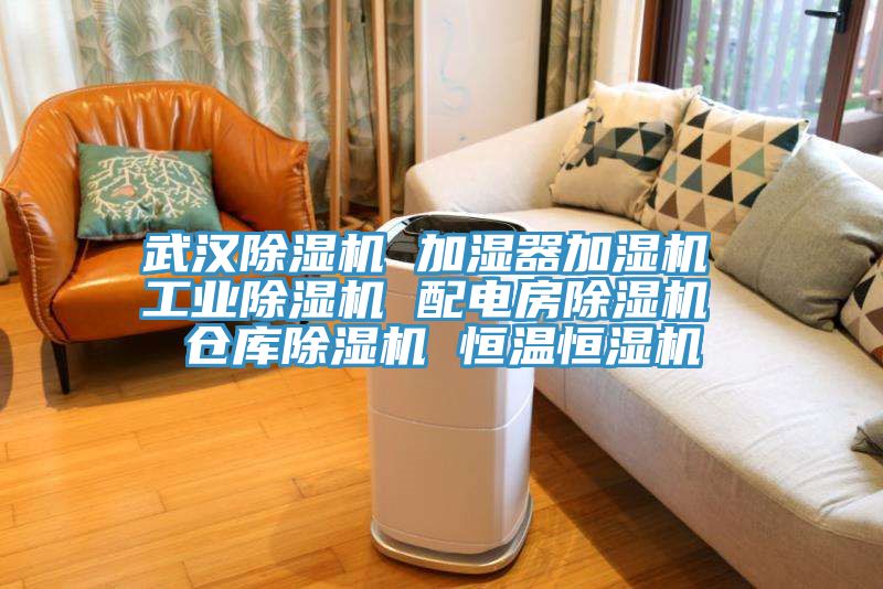 武汉91免费网站在线观看 加湿器加湿机 工业91免费网站在线观看 配电房91免费网站在线观看 仓库91免费网站在线观看 恒温恒湿机