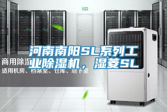河南南阳SL系列工业91免费网站在线观看，湿菱SL