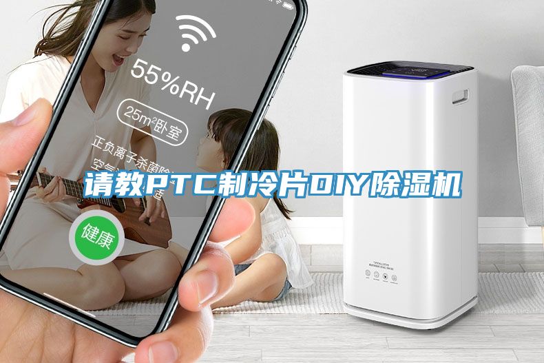 请教PTC制冷片DIY91免费网站在线观看