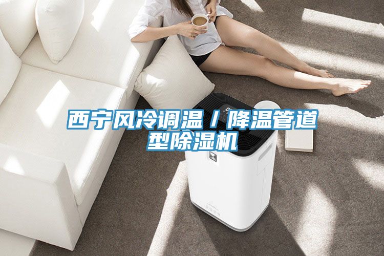 西宁风冷调温／降温管道型91免费网站在线观看