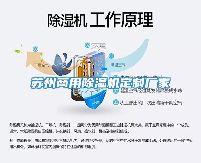 苏州商用91免费网站在线观看定制厂家