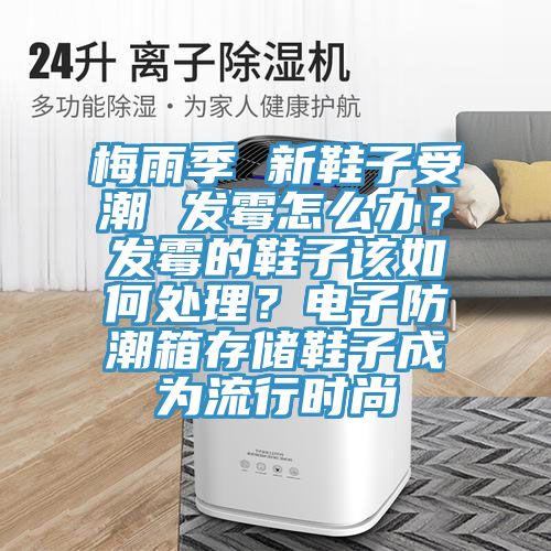 梅雨季 新鞋子受潮 发霉怎么办？发霉的鞋子该如何处理？电子防潮箱存储鞋子成为流行时尚