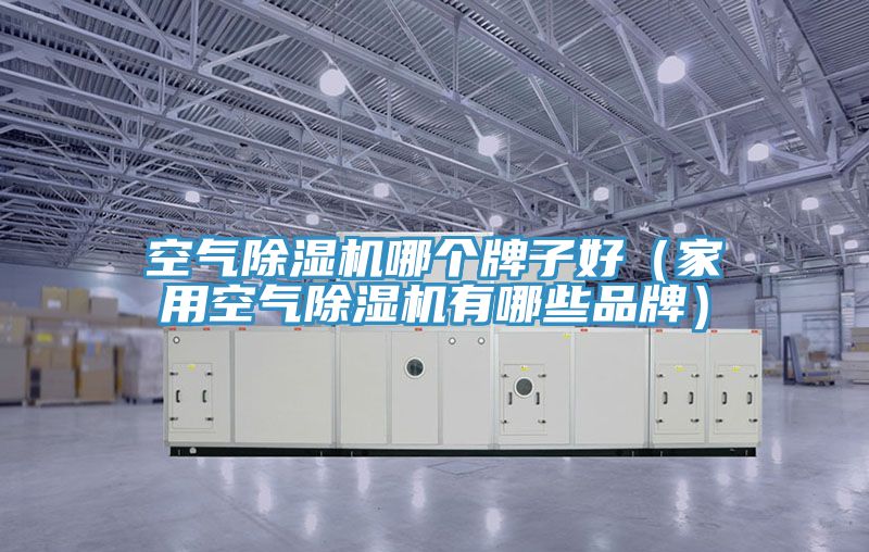 空气91免费网站在线观看哪个牌子好（家用空气91免费网站在线观看有哪些品牌）