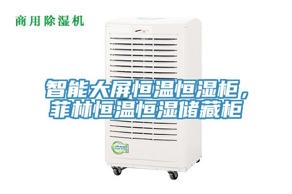 智能大屏恒温恒湿柜，菲林恒温恒湿储藏柜