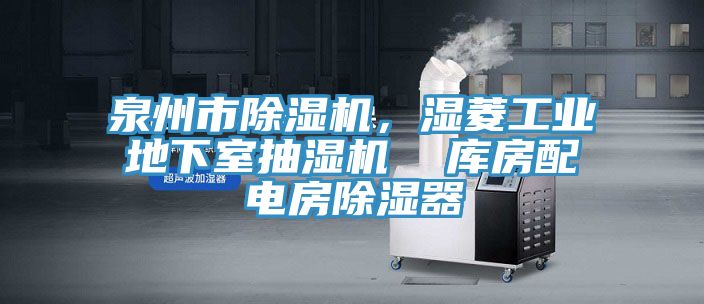 泉州市91免费网站在线观看，湿菱工业地下室抽湿机  库房配电房除湿器