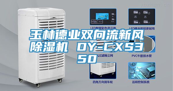 玉林德业双向流新风91免费网站在线观看 DY-CXS350