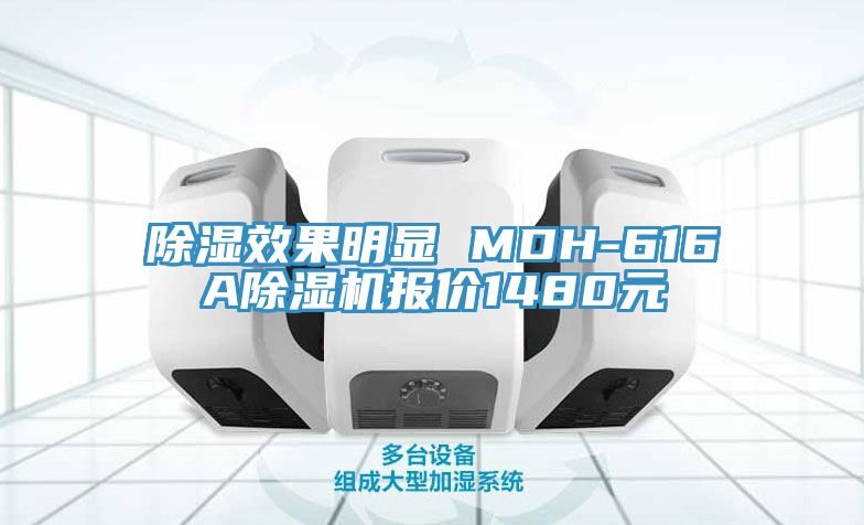 除湿效果明显 MDH-616A91免费网站在线观看报价1480元