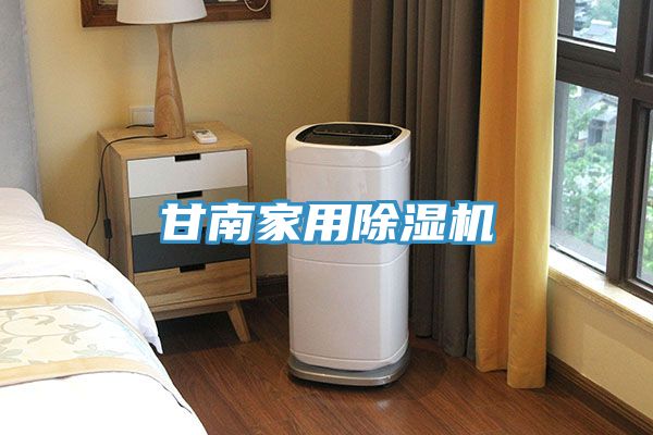 甘南家用91免费网站在线观看