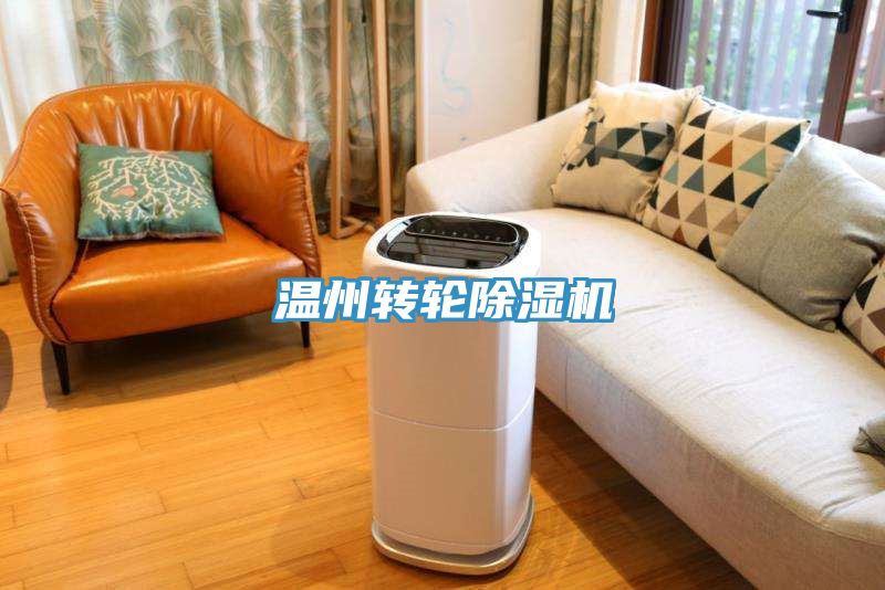 温州转轮91免费网站在线观看