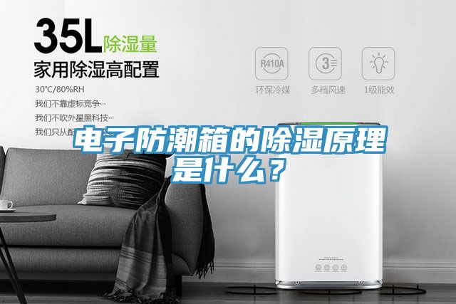 电子防潮箱的除湿原理是什么？