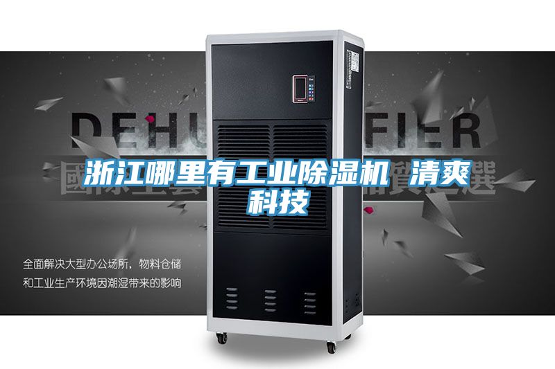浙江哪里有工业91免费网站在线观看 清爽科技