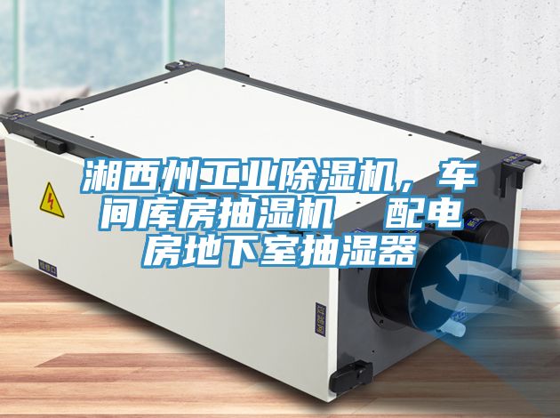 湘西州工业91免费网站在线观看，车间库房抽湿机  配电房地下室抽湿器