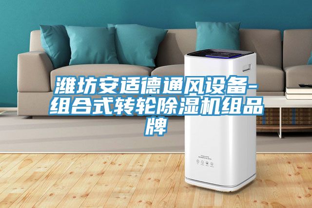 潍坊安适德通风设备-组合式转轮91免费网站在线观看组品牌