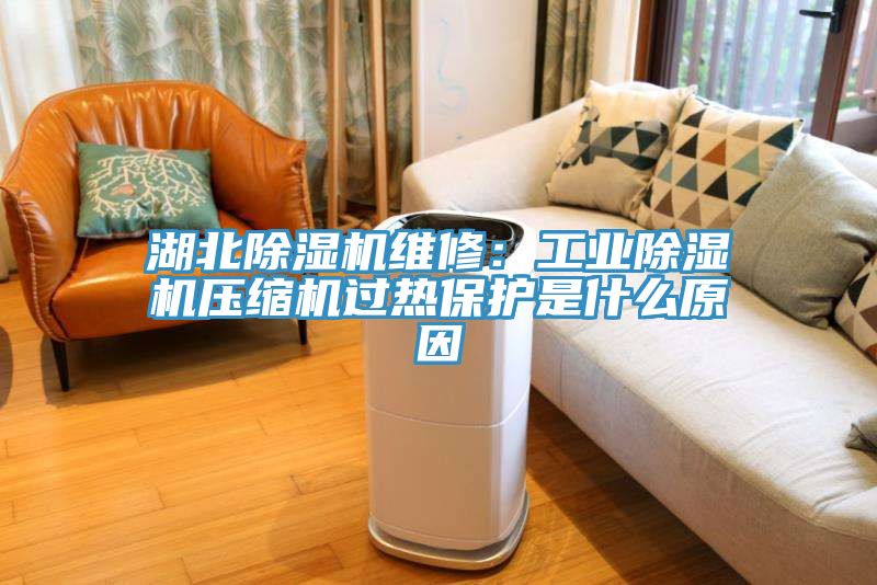 湖北91免费网站在线观看维修：工业91免费网站在线观看压缩机过热保护是什么原因