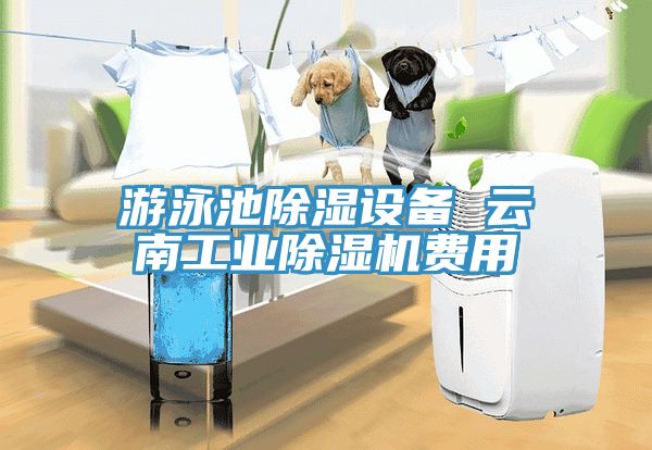 游泳池除湿设备 云南工业91免费网站在线观看费用