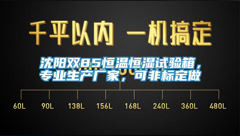 沈阳双85恒温恒湿试验箱，专业生产厂家，可非标定做