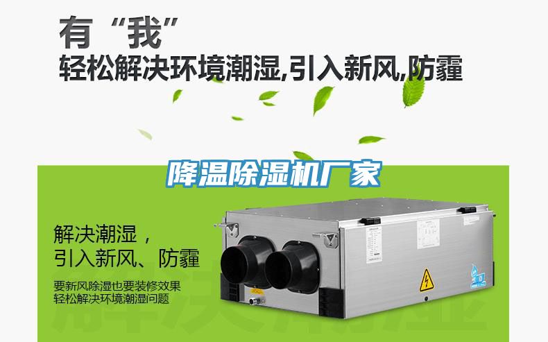 降温91免费网站在线观看厂家