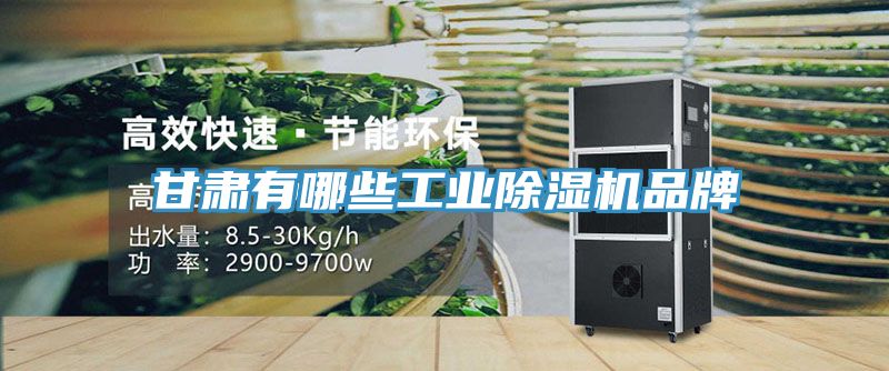 甘肃有哪些工业91免费网站在线观看品牌
