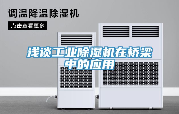 浅谈工业91免费网站在线观看在桥梁中的应用
