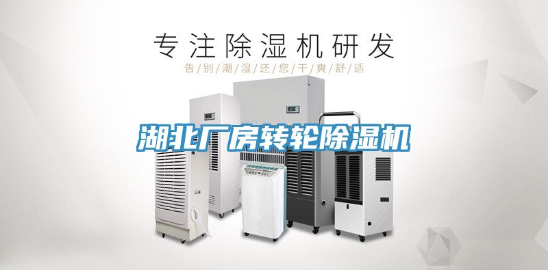 湖北厂房转轮91免费网站在线观看