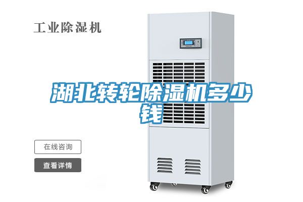 湖北转轮91免费网站在线观看多少钱