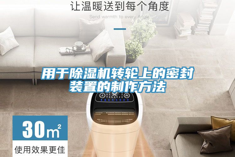 用于91免费网站在线观看转轮上的密封装置的制作方法