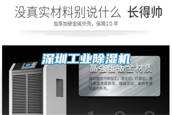 深圳工业91免费网站在线观看