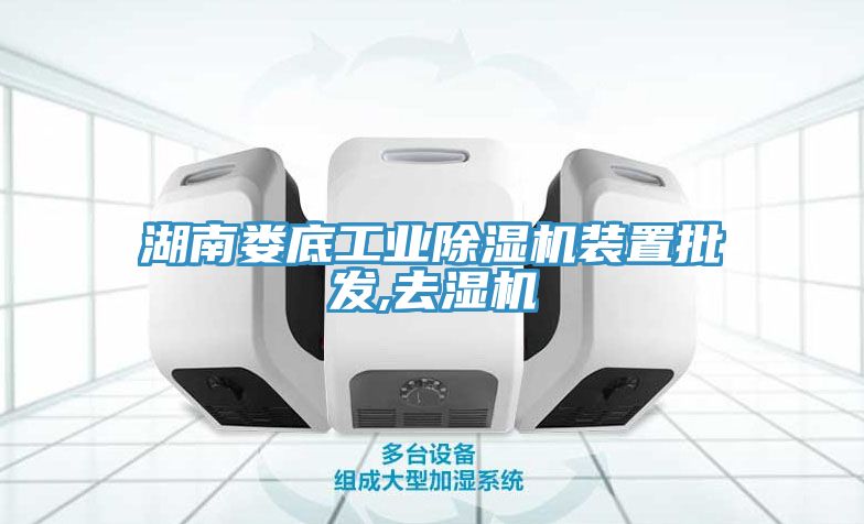 湖南娄底工业91免费网站在线观看装置批发,去湿机