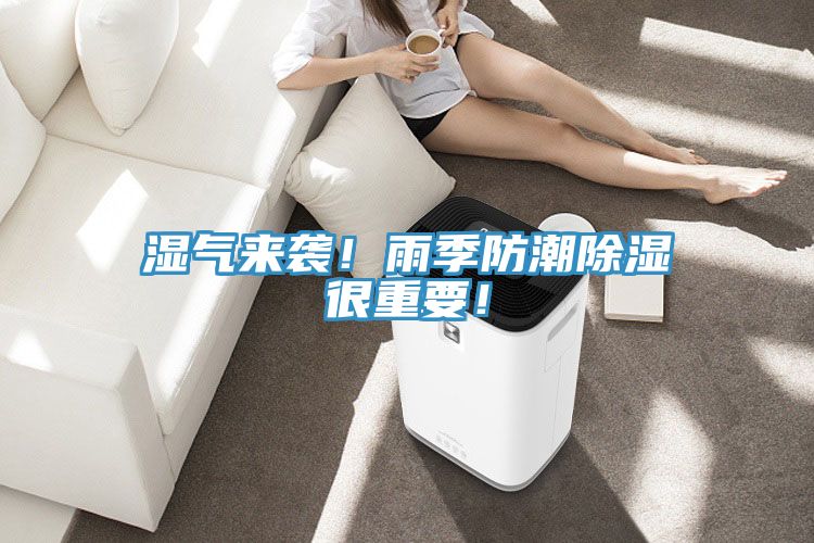 湿气来袭！雨季防潮除湿很重要！