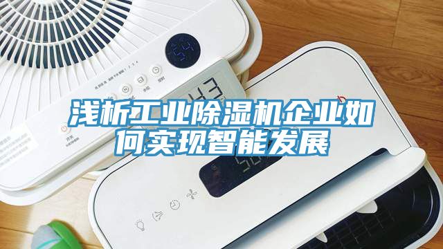 浅析工业91免费网站在线观看企业如何实现智能发展