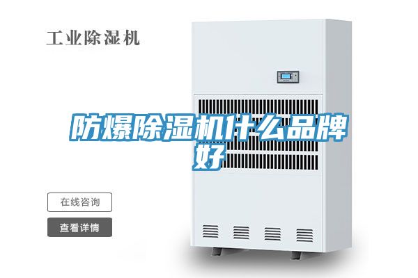 防爆91免费网站在线观看什么品牌好