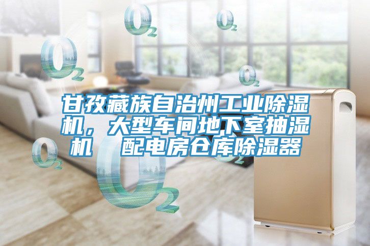 甘孜藏族自治州工业91免费网站在线观看，大型车间地下室抽湿机  配电房仓库除湿器