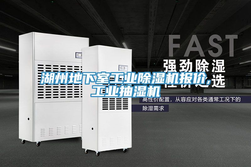 湖州地下室工业91免费网站在线观看报价,工业抽湿机