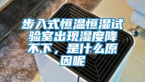 步入式恒温恒湿试验室出现湿度降不下，是什么原因呢