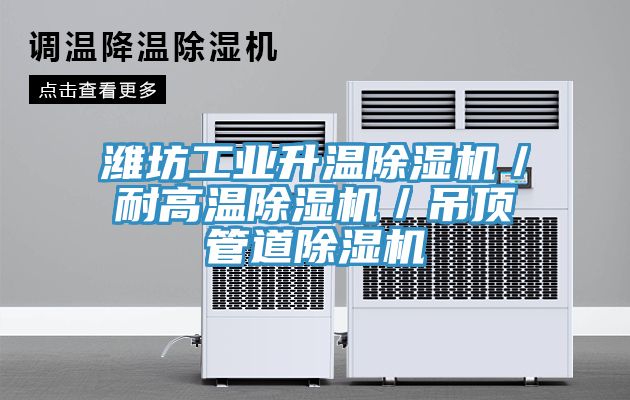 潍坊工业升温91免费网站在线观看／耐高温91免费网站在线观看／吊顶管道91免费网站在线观看